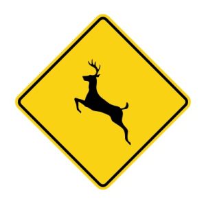 DEER CROSSING